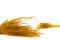 Dried Ouro Honey Yellow 8