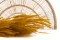 Ouro seco Honey Yellow 1