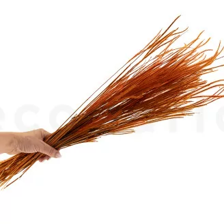 Dried Ouro Marmalade