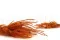 Ouro essiccato Marmalade 8