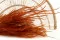 Getrockneter Ouro Marmalade 1