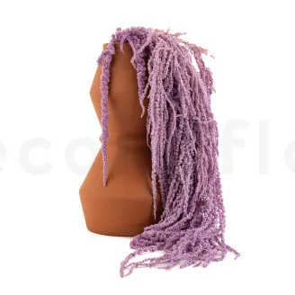 Preserved Amaranthus Lavender Lane
