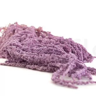 Preserved Amaranthus Lavender Lane