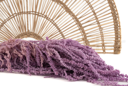 Amarante Stabilis&eacute;e - Lavender Lane