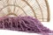 Preserved Amaranthus Lavender Lane 1