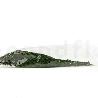Preserved Amaranthus Eden Green