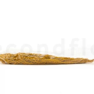 Preserved Amaranthus Honey Yellow