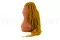 Preserved Amaranthus Honey Yellow 2