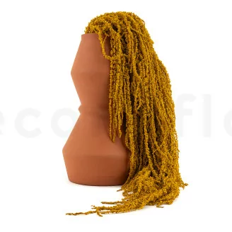 Konservierter Amaranth Honey Yellow