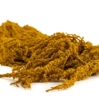 Preserved Amaranthus Honey Yellow