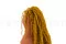 Preserved Amaranthus Honey Yellow 7