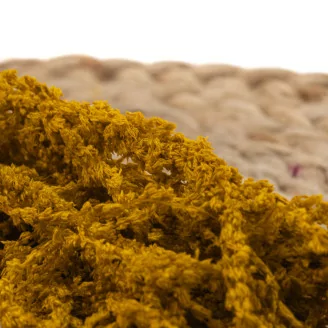 Preserved Amaranthus Honey Yellow