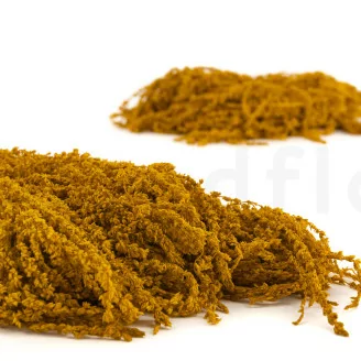 Preserved Amaranthus Honey Yellow