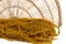 Konservierter Amaranth Honey Yellow 1