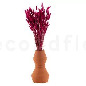 Getrockneter Lagurus Ovatus Raspberry