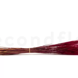 Ouro seco Raspberry