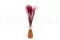 Ouro essiccato Raspberry 2