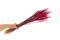 Getrockneter Ouro Raspberry 4