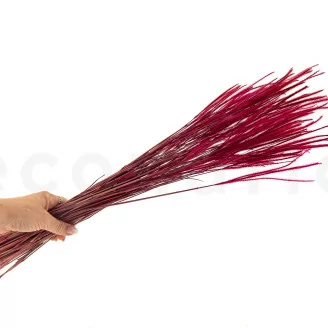 Dried Ouro Raspberry