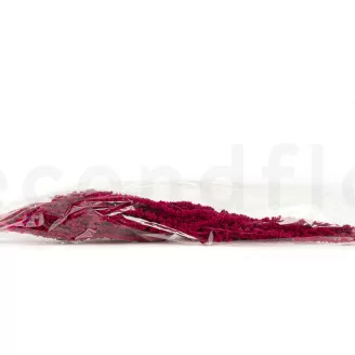 Konservierter Amaranth Raspberry