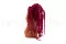 Preserved Amaranthus Raspberry 2