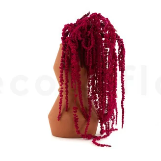 Konservierter Amaranth Raspberry
