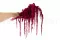 Preserved Amaranthus Raspberry 4