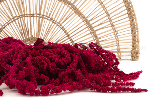 Amarante Stabilis&eacute;e - Raspberry