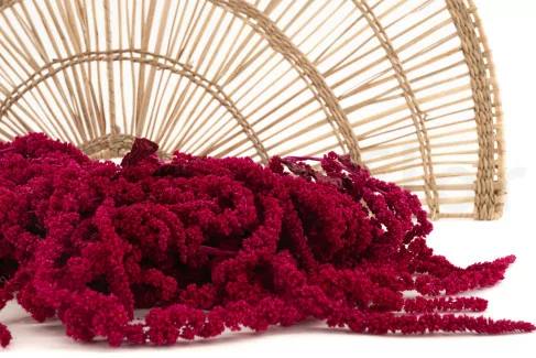 Amarante stabilis&eacute;e Raspberry