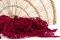 Konservierter Amaranth Raspberry 1