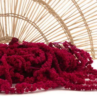 Konservierter Amaranth Raspberry