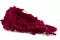Konservierter Amaranth Raspberry 6