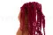Preserved Amaranthus Raspberry 7