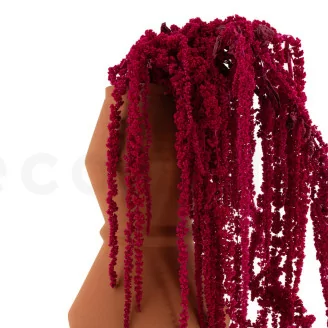 Konservierter Amaranth Raspberry