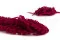 Preserved Amaranthus Raspberry 8