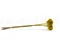 Preserved Scabiosa stellata Yellow (x10) 6