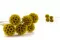 Preserved Scabiosa stellata Yellow (x10) 9