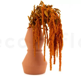 Konservierter Amaranth Marmalade
