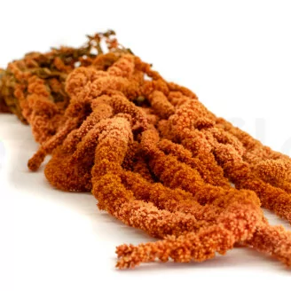 Preserved Amaranthus Marmalade