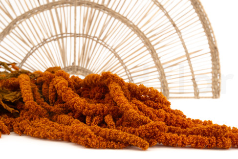 Amarante Stabilis&eacute;e - Marmalade