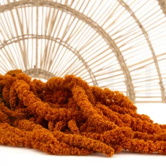 Preserved Amaranthus Marmalade