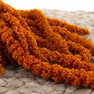 Preserved Amaranthus Marmalade