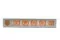 Rose stabilis&eacute;e XL Cantaloupe (x6) 9