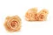 Rosa stabilizzata XL Cantaloupe (x6) 1