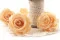 Rosa preservada XL Cantaloupe (x6) 6