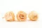 Konservierte Rose XL Cantaloupe (x6) 5