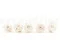 Preserved Rose XL White (x5) 5