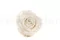 Preserved Rose XL White (x5) 7