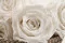 Rosa preservada XL Blanco (x5) 3
