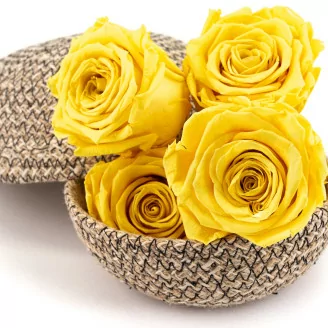 Rose stabilis&eacute;e XL Jaune Clair (x5)